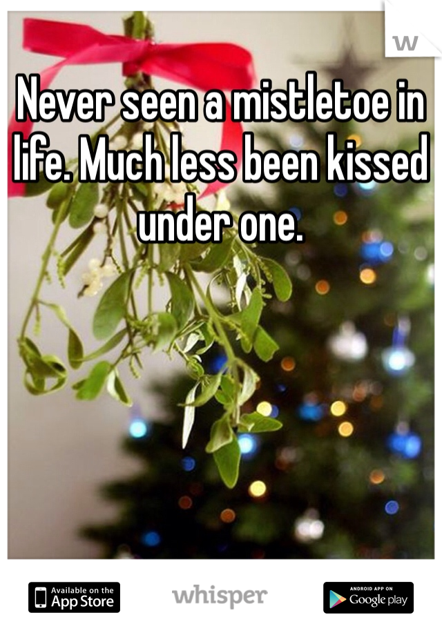 Never seen a mistletoe in life. Much less been kissed under one. 