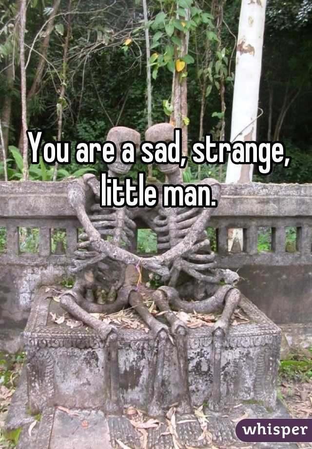 You are a sad, strange, little man.