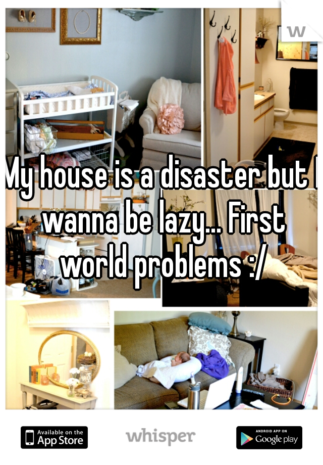 My house is a disaster but I wanna be lazy... First world problems :/