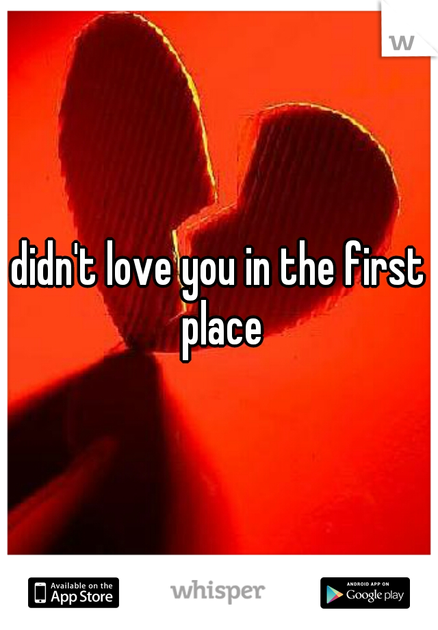 didn't love you in the first place