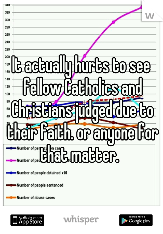 It actually hurts to see fellow Catholics and Christians judged due to their faith. or anyone for that matter.  