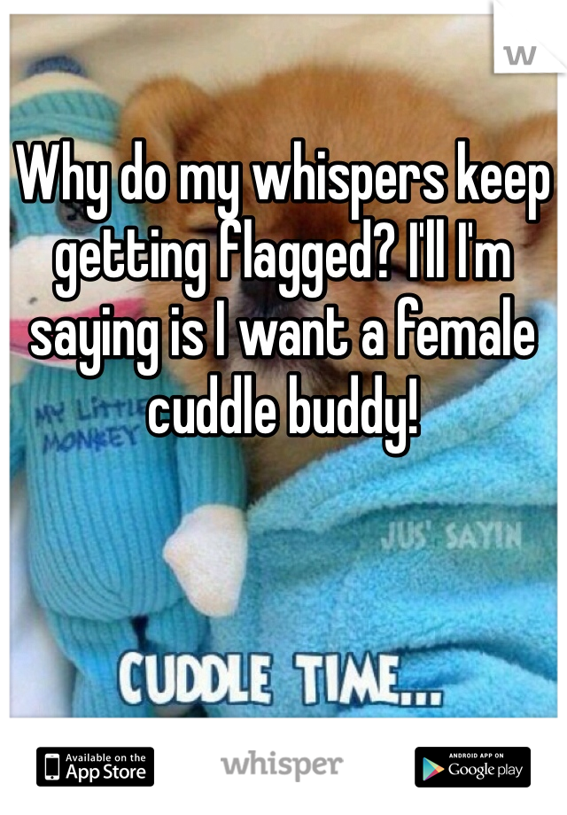 Why do my whispers keep getting flagged? I'll I'm saying is I want a female cuddle buddy! 