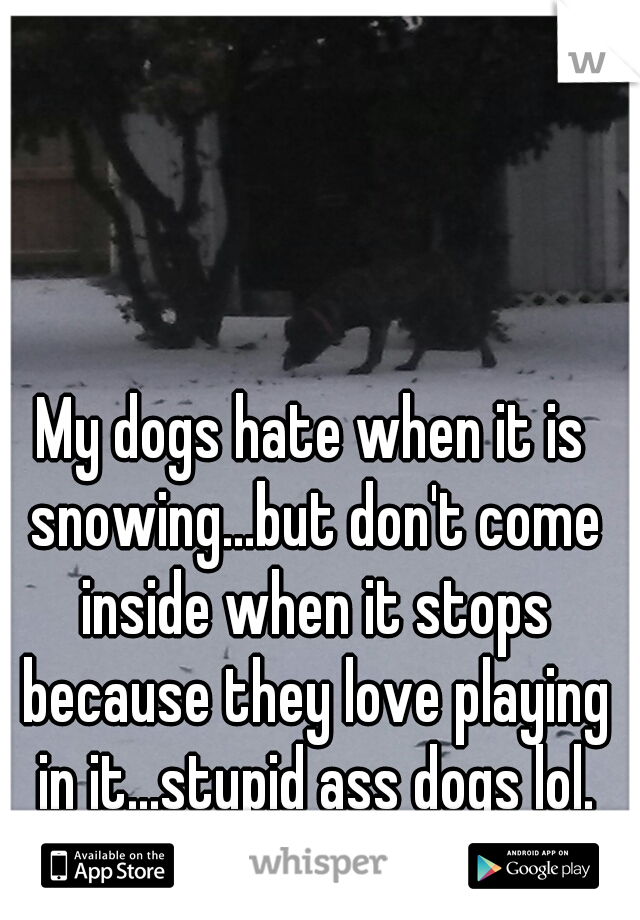 My dogs hate when it is snowing...but don't come inside when it stops because they love playing in it...stupid ass dogs lol.