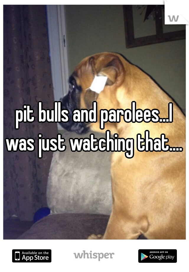 pit bulls and parolees...I was just watching that.... 
