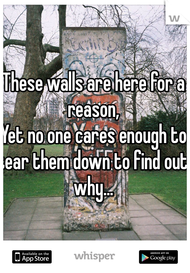 These walls are here for a reason,
Yet no one cares enough to tear them down to find out why...