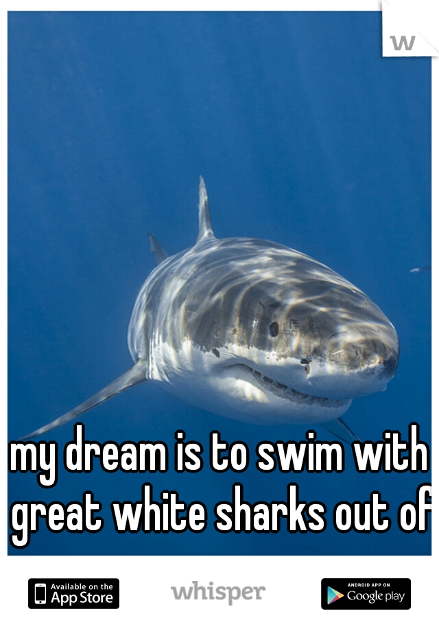 my dream is to swim with great white sharks out of a cage.