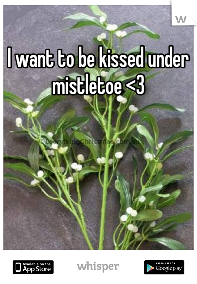 I want to be kissed under mistletoe <3