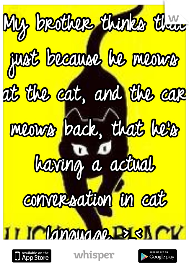 My brother thinks that just because he meows at the cat, and the car meows back, that he's having a actual conversation in cat language. >_<