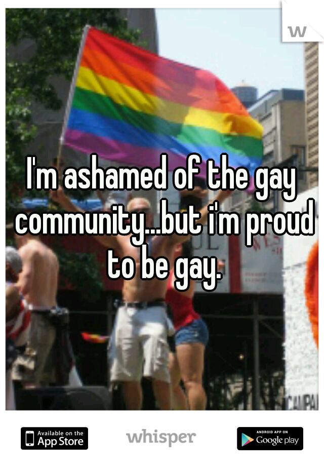 I'm ashamed of the gay community...but i'm proud to be gay.