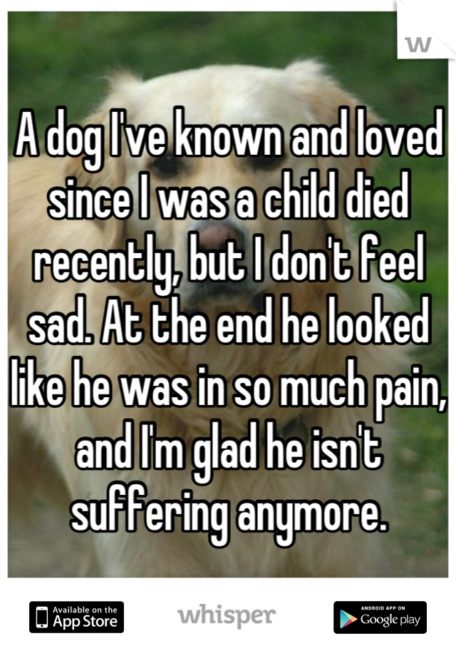 A dog I've known and loved since I was a child died recently, but I don't feel sad. At the end he looked like he was in so much pain, and I'm glad he isn't suffering anymore.