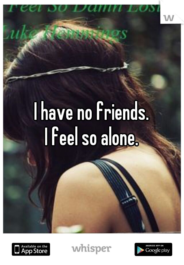 I have no friends.

I feel so alone.