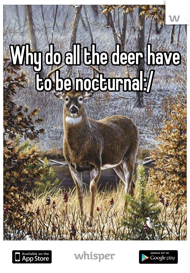 Why do all the deer have to be nocturnal:/
