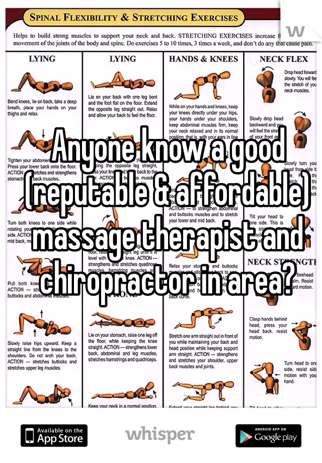 Anyone know a good (reputable & affordable) massage therapist and chiropractor in area?