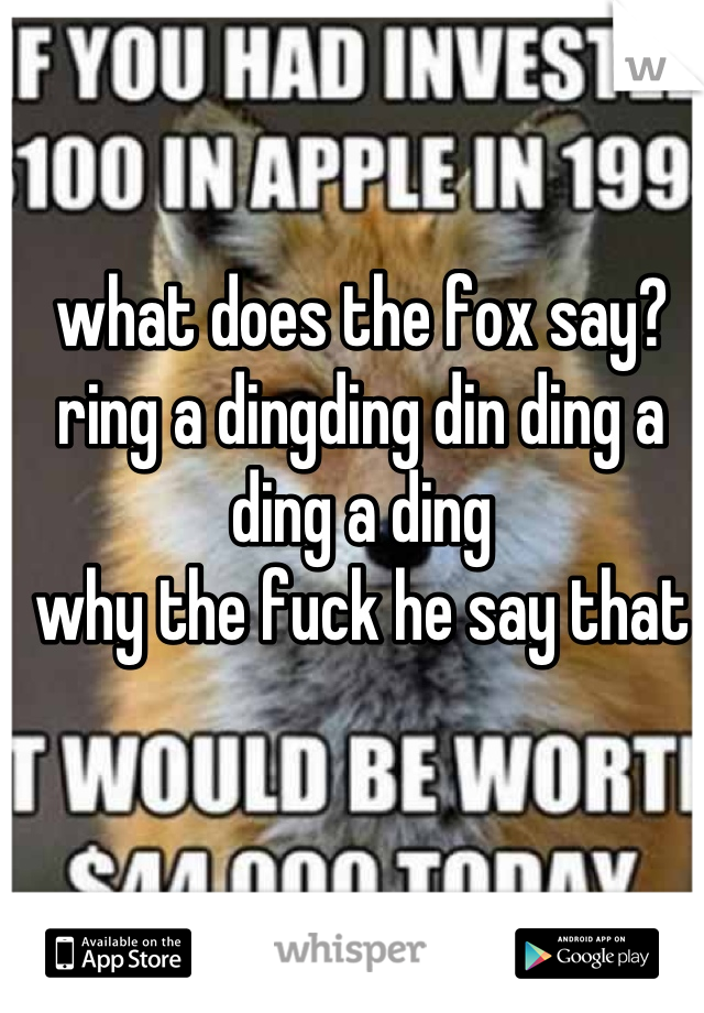 what does the fox say? ring a dingding din ding a ding a ding
why the fuck he say that