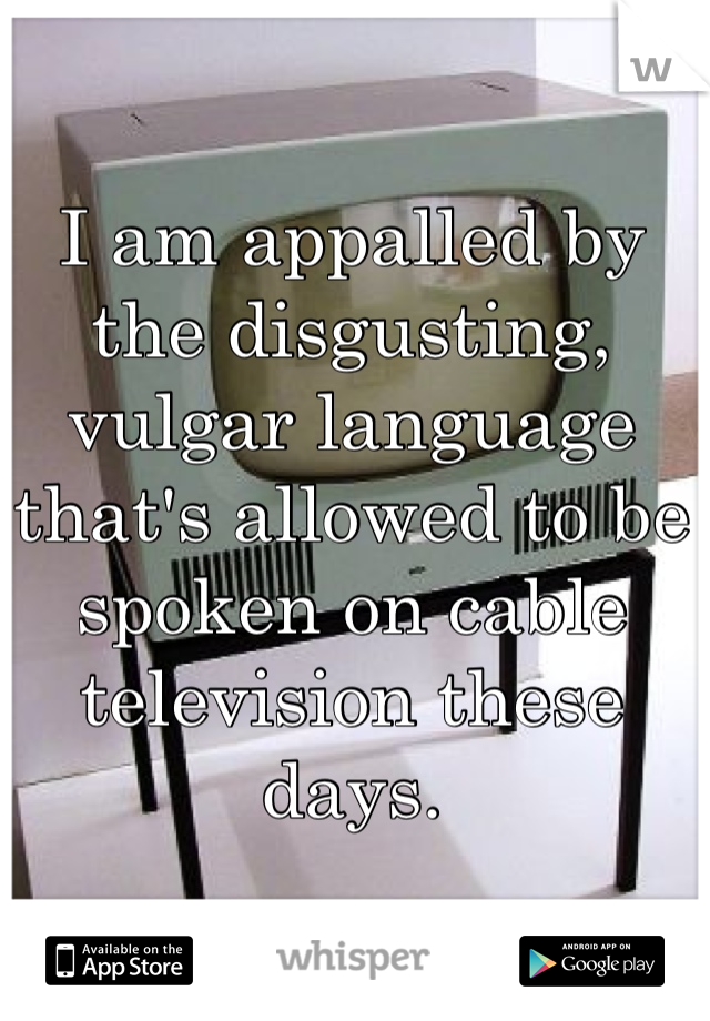 I am appalled by the disgusting, vulgar language that's allowed to be spoken on cable television these days.