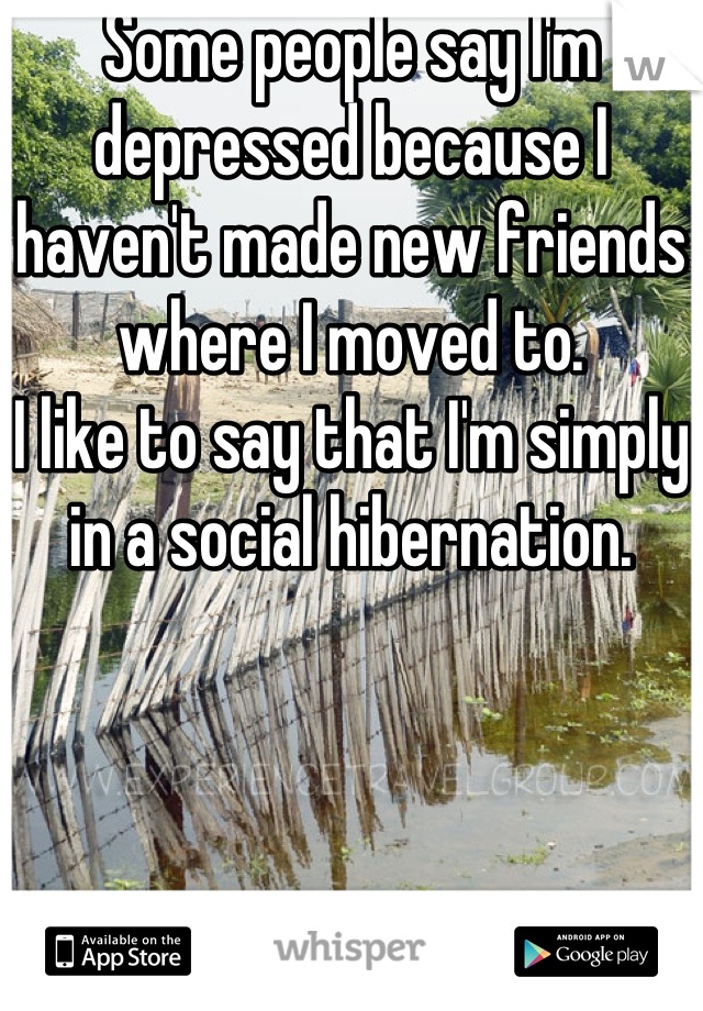 Some people say I'm depressed because I haven't made new friends where I moved to.  
I like to say that I'm simply in a social hibernation.