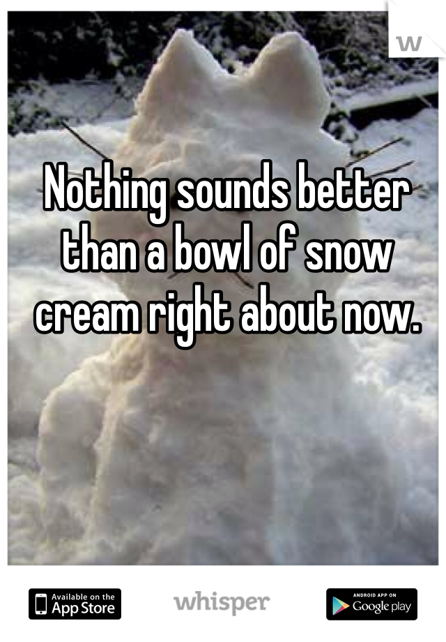 Nothing sounds better than a bowl of snow cream right about now.