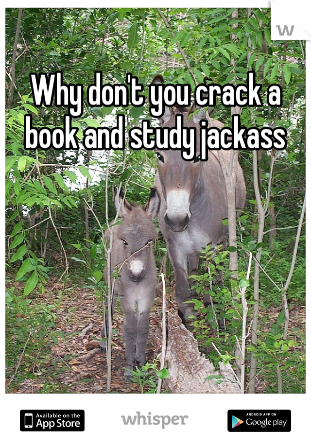 Why don't you crack a book and study jackass