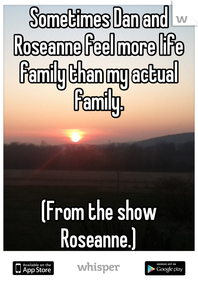 Sometimes Dan and Roseanne feel more life family than my actual family. 



(From the show Roseanne.)