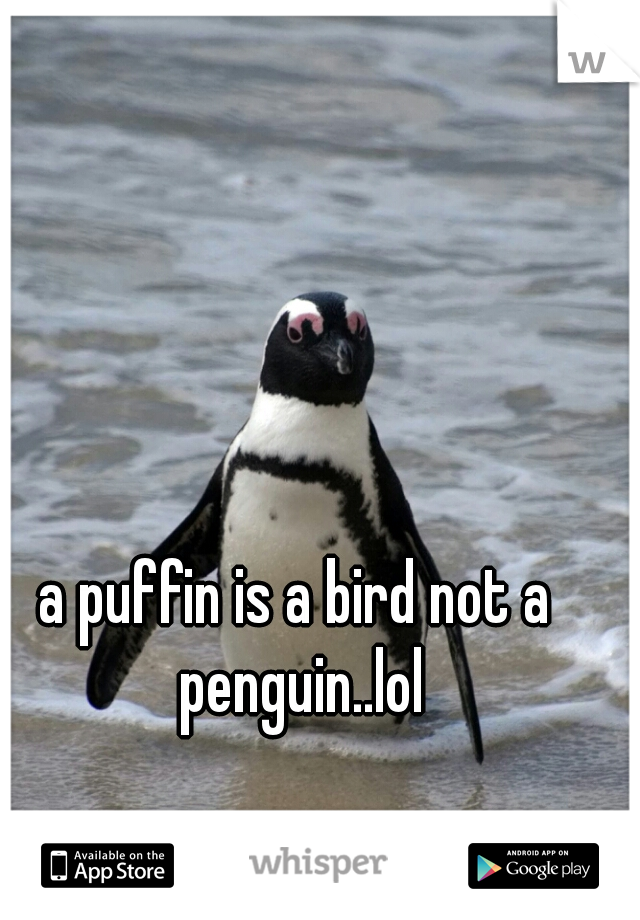 a puffin is a bird not a penguin..lol