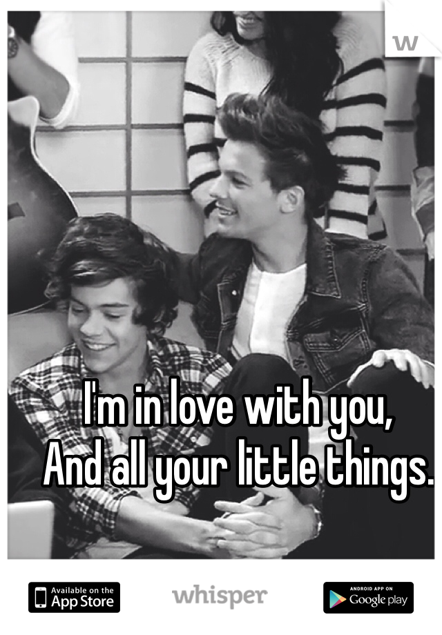 I'm in love with you,
And all your little things.
