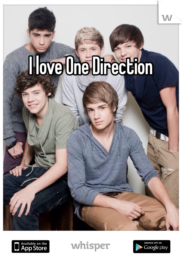 I love One Direction