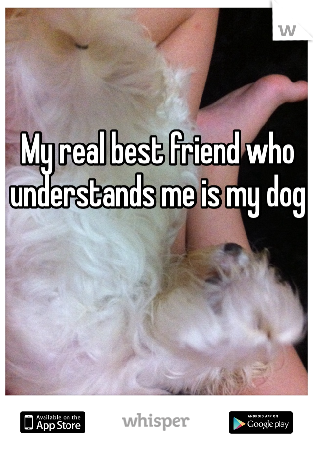 My real best friend who understands me is my dog
