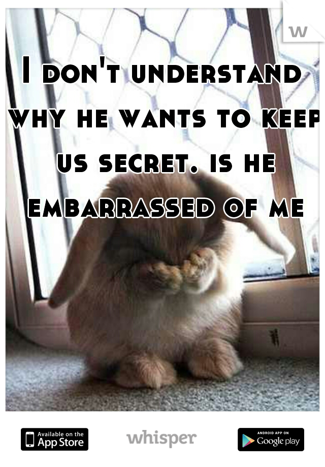 I don't understand why he wants to keep us secret. is he embarrassed of me