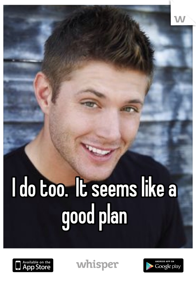 I do too.  It seems like a good plan
