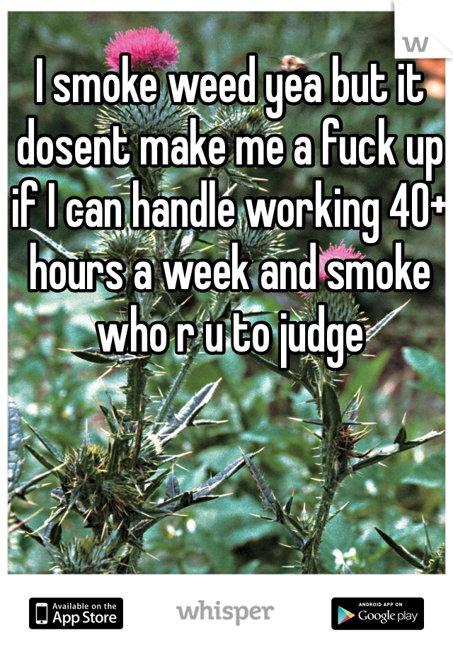 I smoke weed yea but it dosent make me a fuck up if I can handle working 40+ hours a week and smoke who r u to judge 