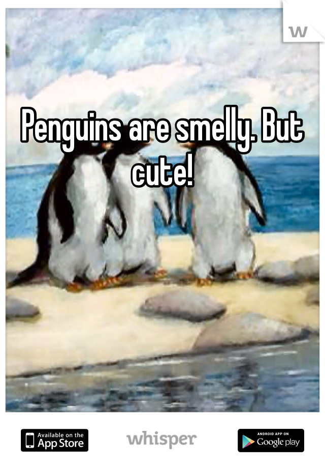 Penguins are smelly. But cute!