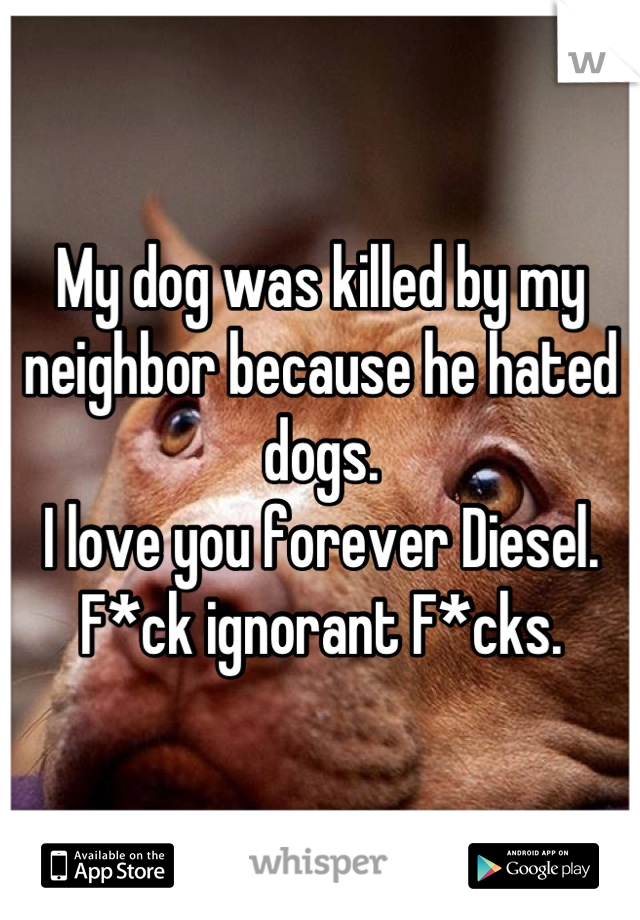 My dog was killed by my neighbor because he hated dogs. 
I love you forever Diesel.
F*ck ignorant F*cks.
