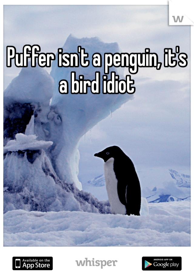 Puffer isn't a penguin, it's a bird idiot