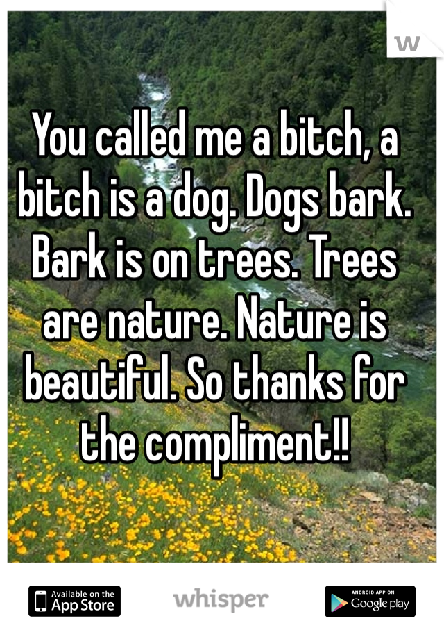 You called me a bitch, a bitch is a dog. Dogs bark. Bark is on trees. Trees are nature. Nature is beautiful. So thanks for the compliment!!