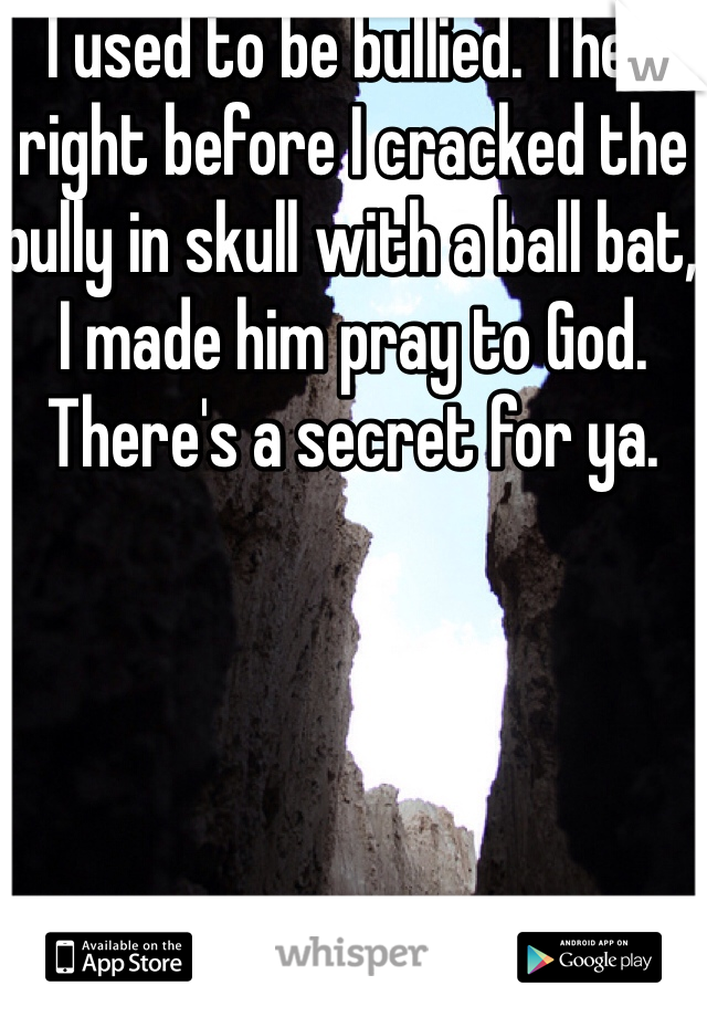 I used to be bullied. Then right before I cracked the bully in skull with a ball bat, I made him pray to God. There's a secret for ya. 
