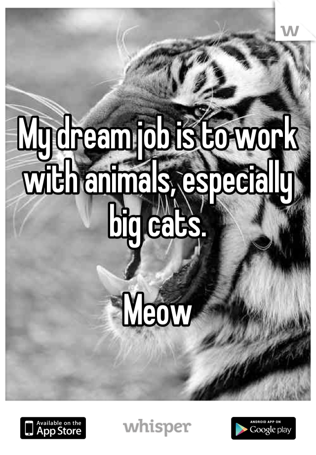 My dream job is to work with animals, especially big cats. 

Meow