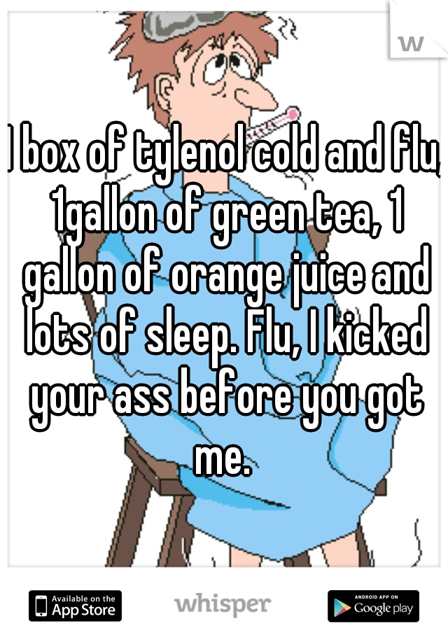 1 box of tylenol cold and flu, 1gallon of green tea, 1 gallon of orange juice and lots of sleep. Flu, I kicked your ass before you got me. 