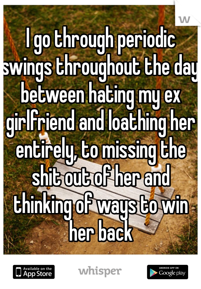 I go through periodic swings throughout the day between hating my ex girlfriend and loathing her entirely, to missing the shit out of her and thinking of ways to win her back