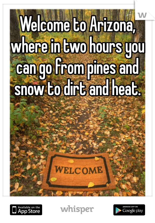 Welcome to Arizona, where in two hours you can go from pines and snow to dirt and heat. 