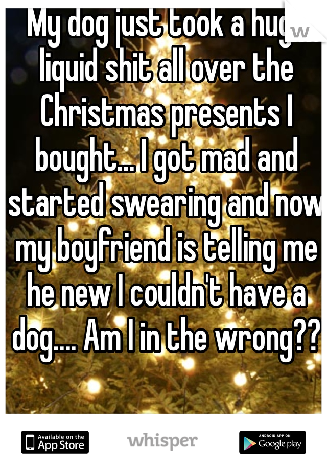 My dog just took a huge liquid shit all over the Christmas presents I bought... I got mad and started swearing and now my boyfriend is telling me he new I couldn't have a dog.... Am I in the wrong??