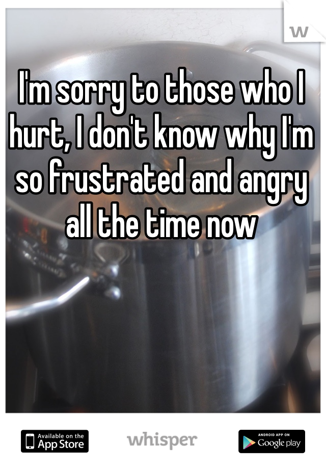 I'm sorry to those who I hurt, I don't know why I'm so frustrated and angry all the time now