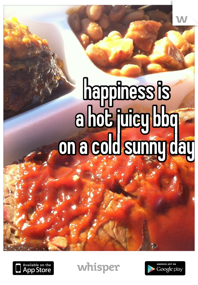happiness is
a hot juicy bbq
on a cold sunny day