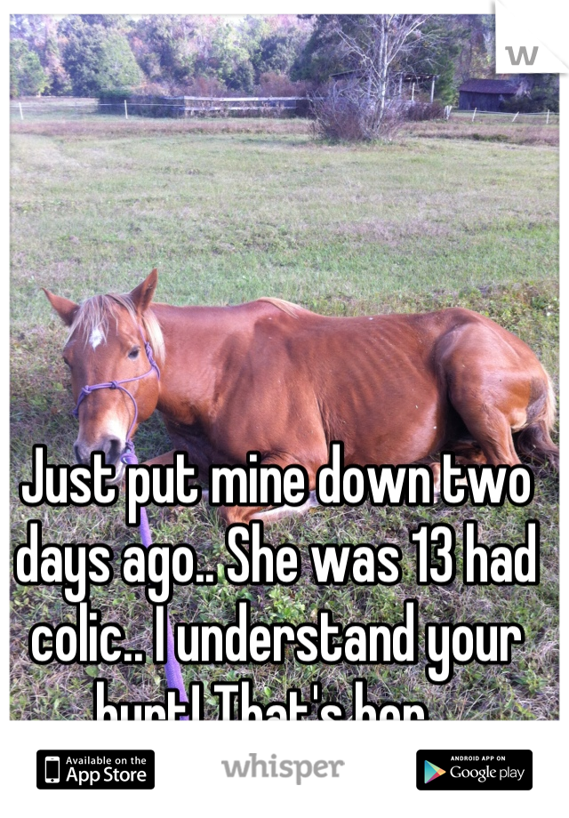 Just put mine down two days ago.. She was 13 had colic.. I understand your hurt! That's her.. 