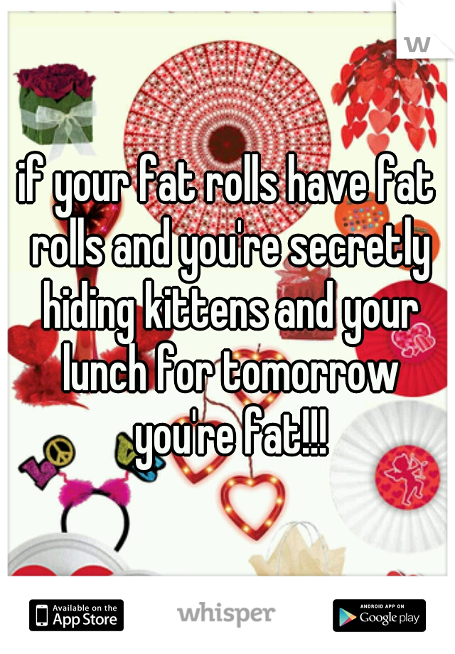 if your fat rolls have fat rolls and you're secretly hiding kittens and your lunch for tomorrow you're fat!!!