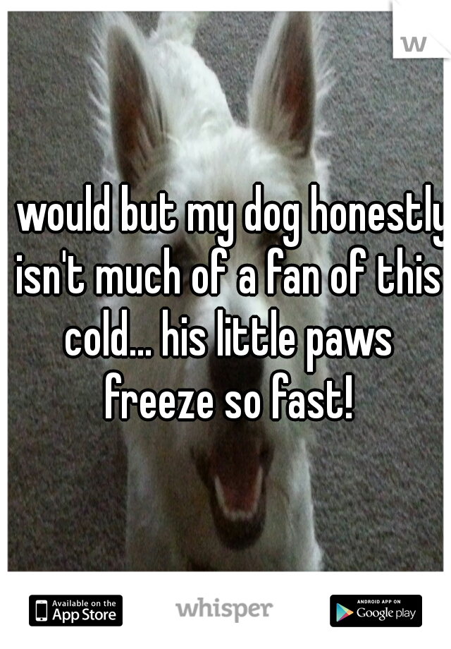 I would but my dog honestly isn't much of a fan of this cold... his little paws freeze so fast!