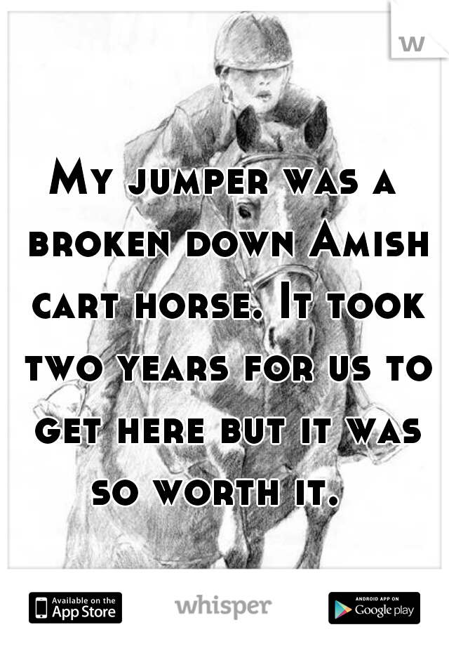 My jumper was a broken down Amish cart horse. It took two years for us to get here but it was so worth it.  
