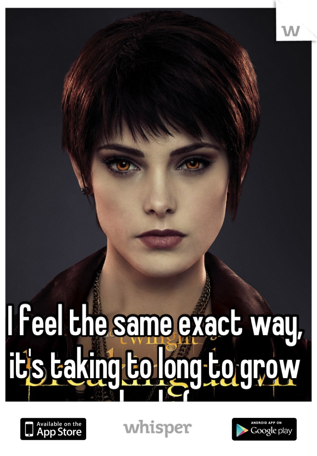 I feel the same exact way, it's taking to long to grow back :(