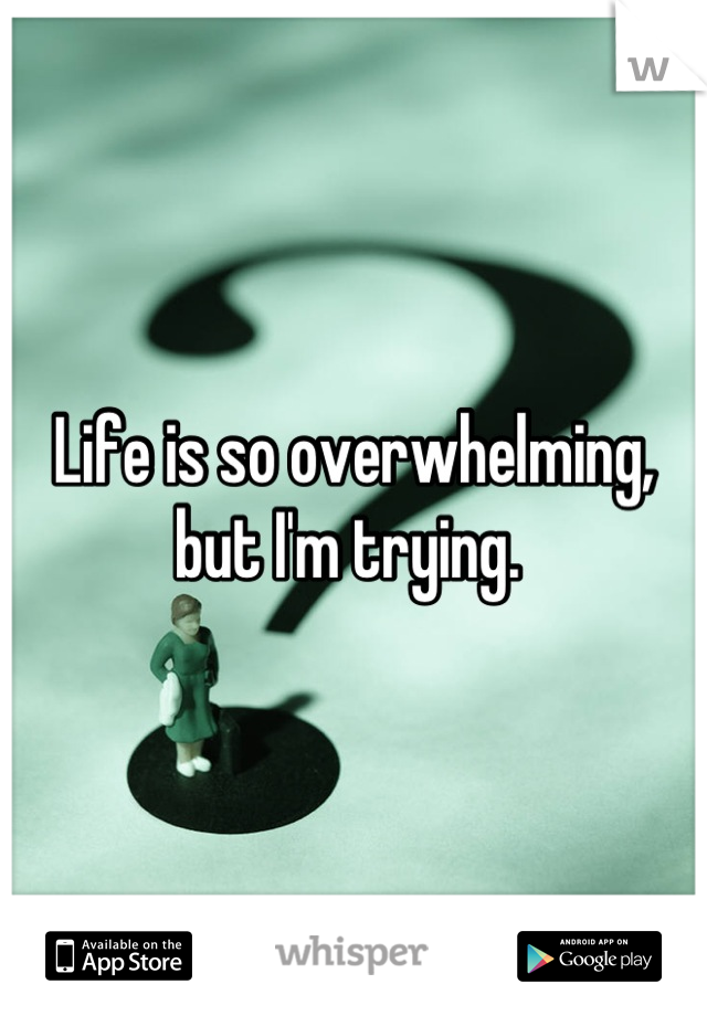 Life is so overwhelming, but I'm trying. 