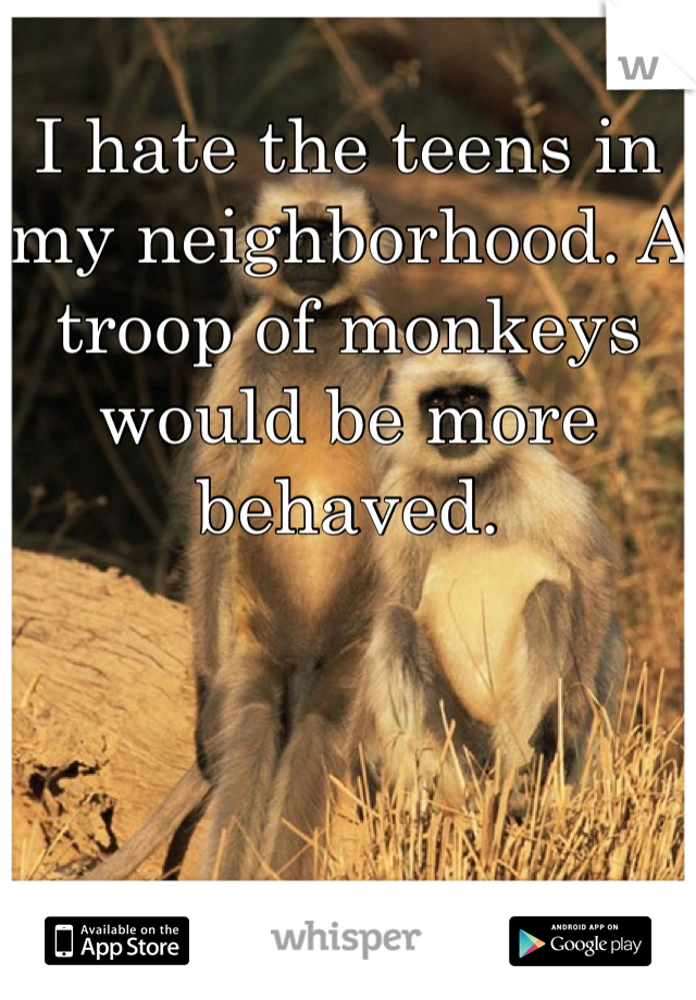 I hate the teens in my neighborhood. A troop of monkeys would be more behaved.