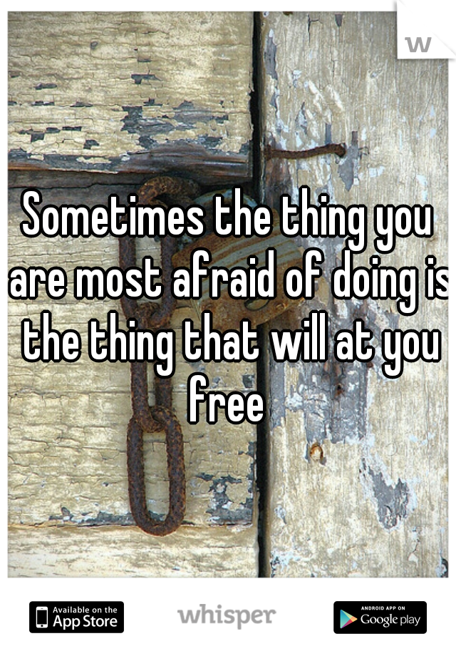 Sometimes the thing you are most afraid of doing is the thing that will at you free 